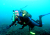 noosa-diving