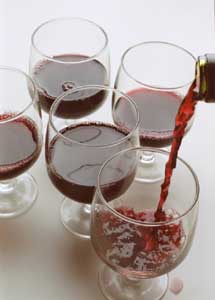 noosa wineries