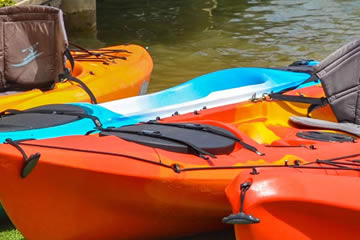 Kayak Up The Noosa River